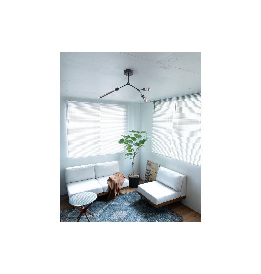 JOURNAL STANDARD FURNITURE(ジャーナルスタンダードファニチャー )ティアゴ シーリング ランプ