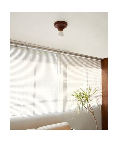 ACME Furniture(アクメファニチャー)IRVIN CEILING LAMP (アーヴィン シーリングランプ)