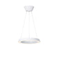 ART WORK STUDIO（アートワークスタジオ）Loop LED-pendant light（ループLEDペンダンライト）